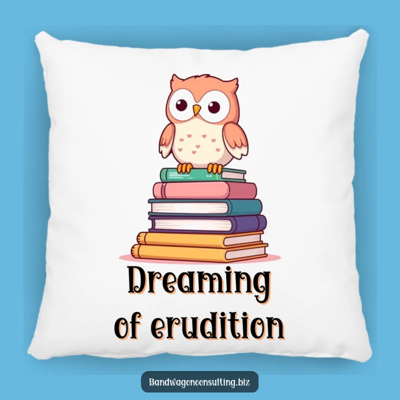 Funny Owl Pillow - Cozy Wobbly Bookworm Cushion Gift