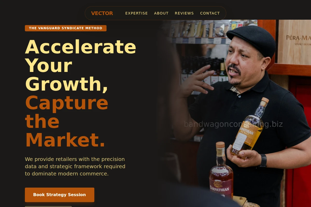 Vector Retail Consulting
